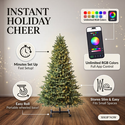 Lumina Fir
