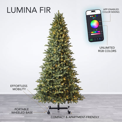 Lumina Fir