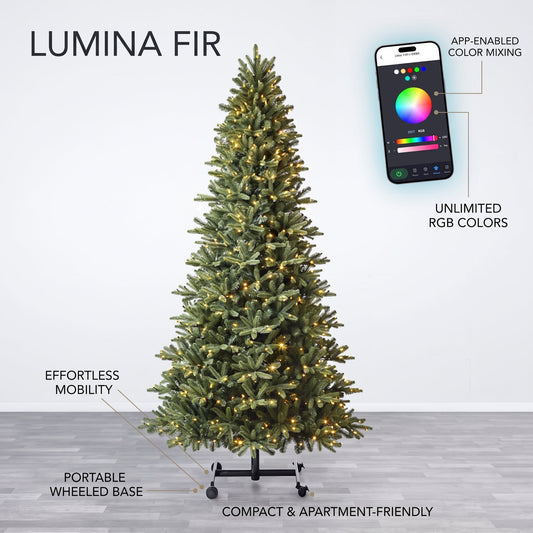 Lumina Fir
