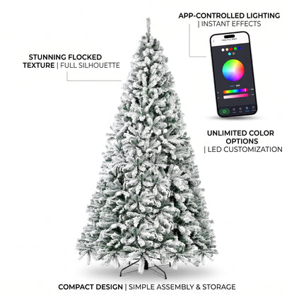 Lumina Fir